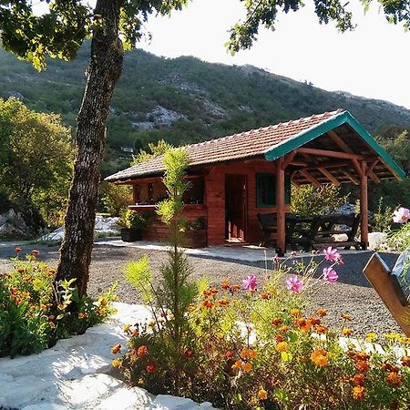 Hotel Camp Oaza,Lipa Cetynia Zewnętrze zdjęcie