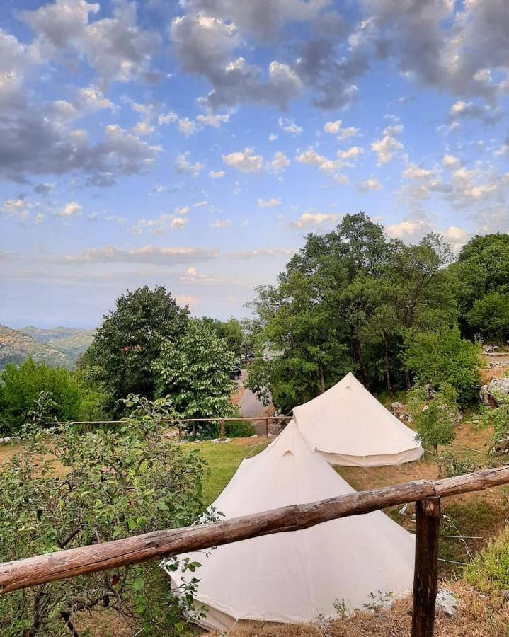 Hotel Camp Oaza,Lipa Cetynia Zewnętrze zdjęcie