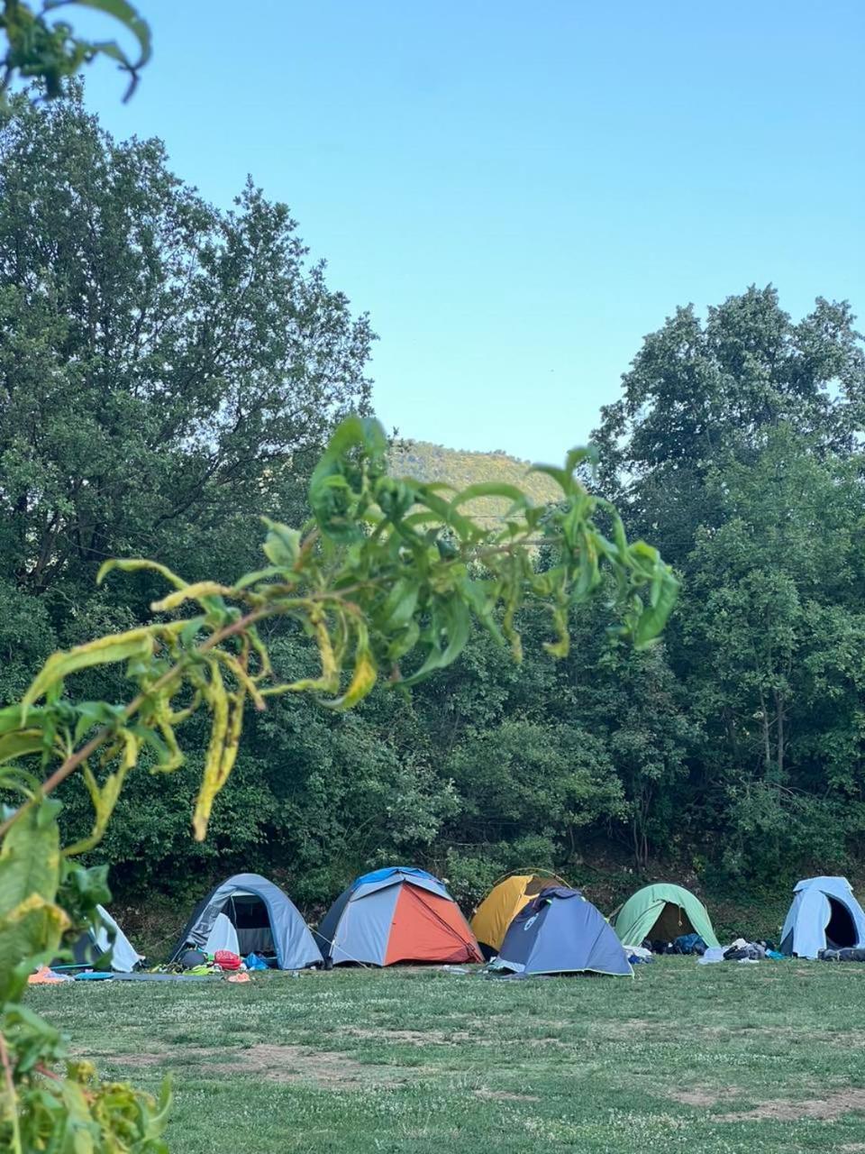 Hotel Camp Oaza,Lipa Cetynia Pokój zdjęcie